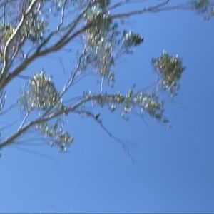 Meet your Posher, Rosa